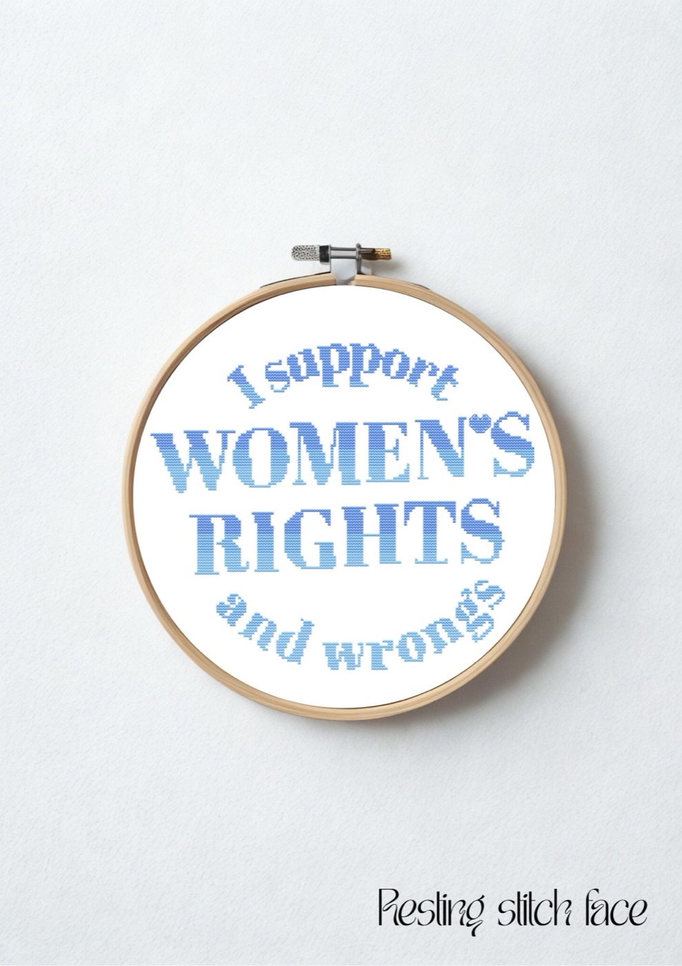 Women's Rights (and Wrongs) cross stitch pattern