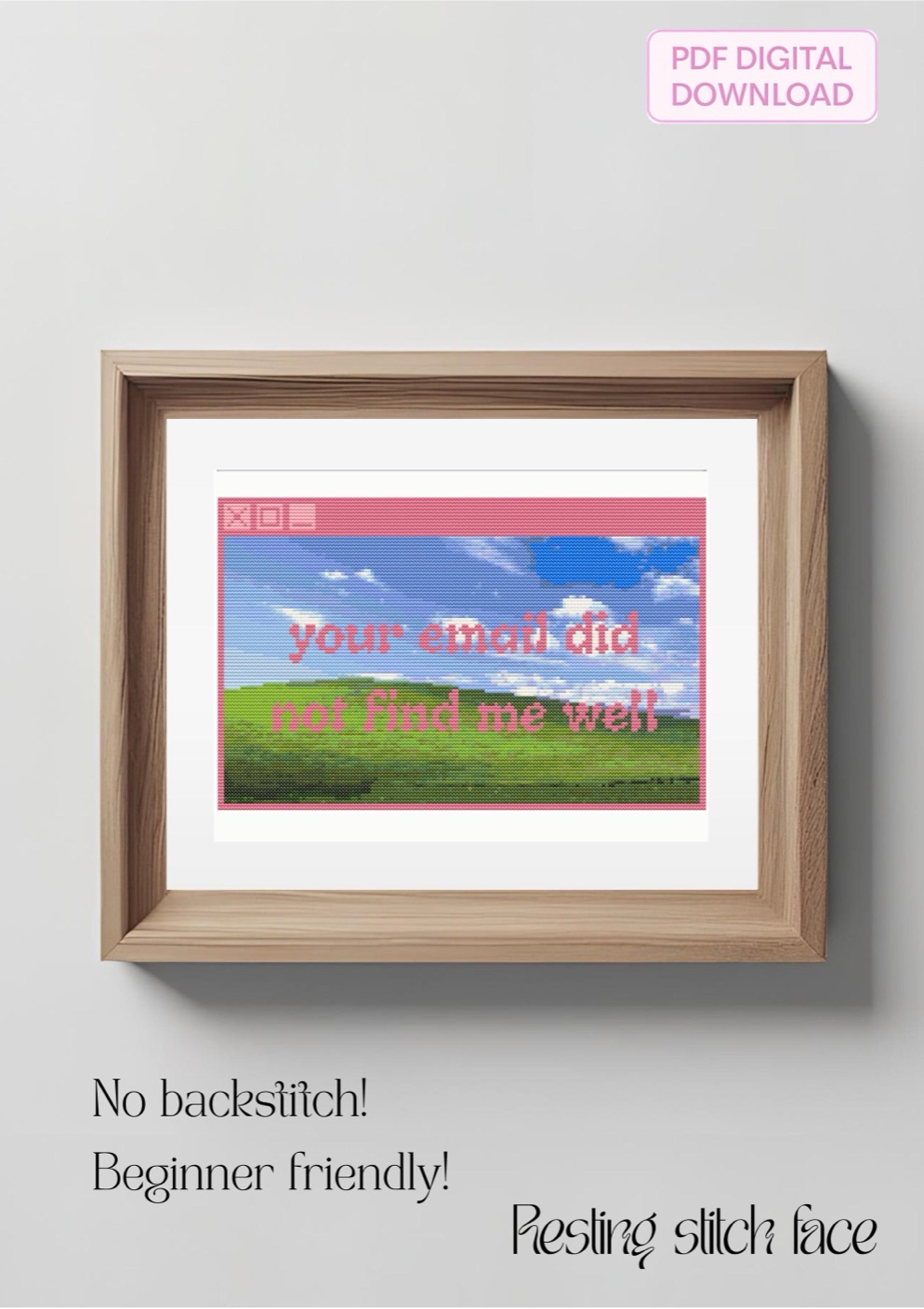 Your Email Did Not Find Me Well cross stitch pattern